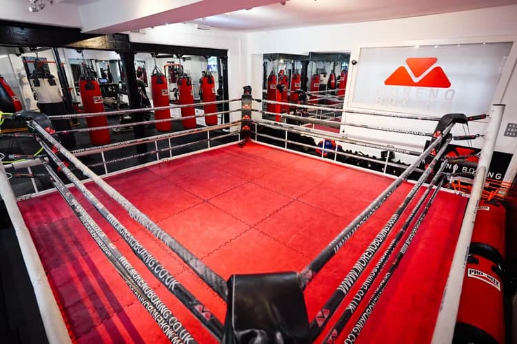 Moreno Boxing ring and training space