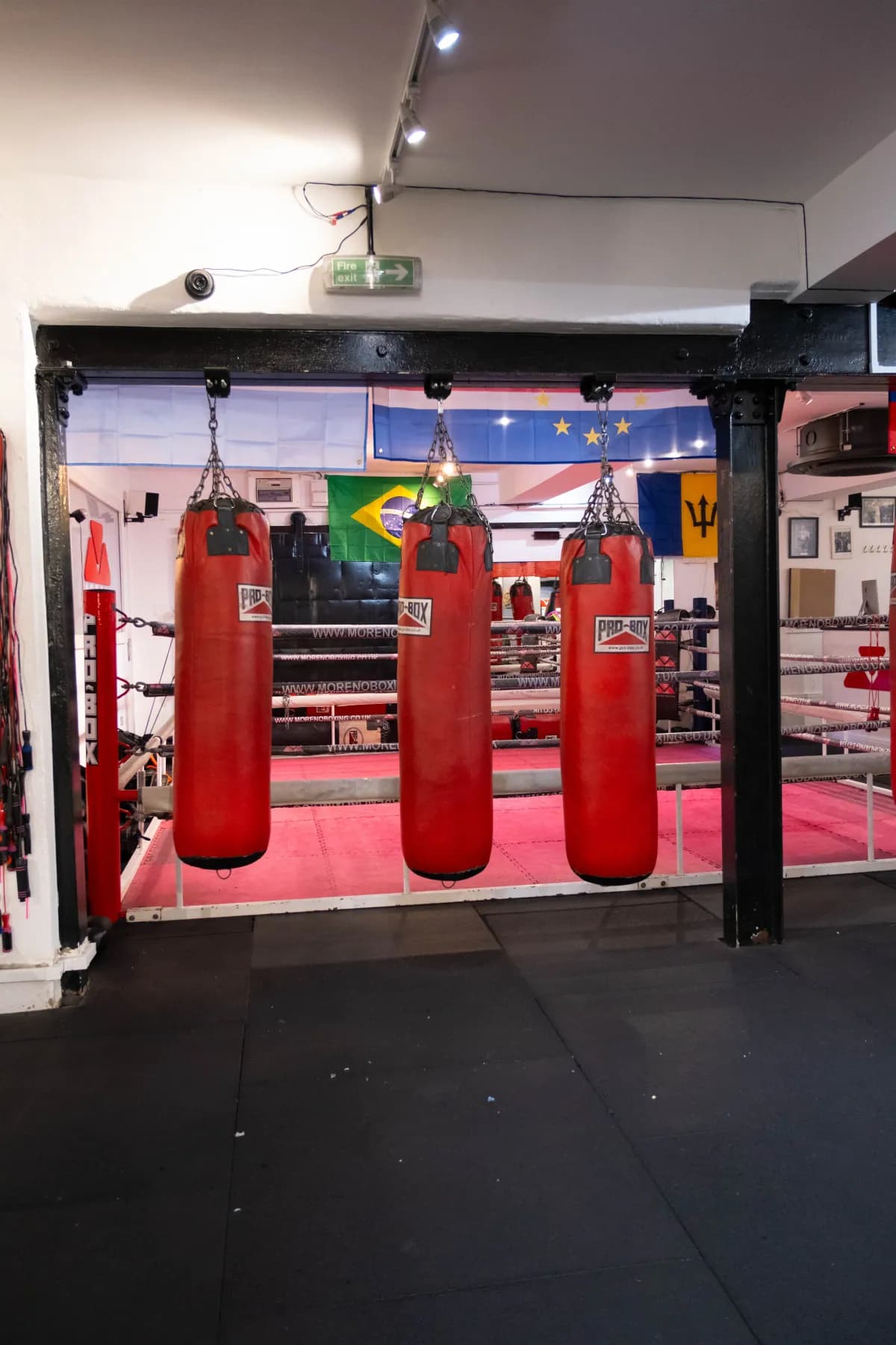 Heavy bags inside Moreno Boxing gym